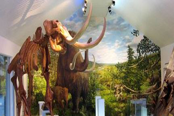 Mammutmuseum Niederweningen Wehntal Zürcher Unterland