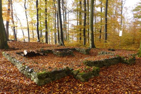 Gut sichtbar sind die Reste einer Befestigung auf dem Rhinsberg.