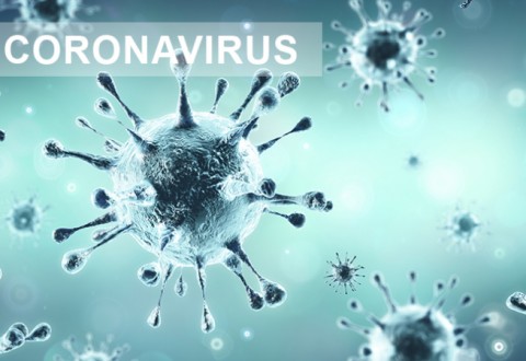 Coronavirus Zürcher Unterland