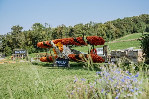 Kürbisaustellung Römerhof